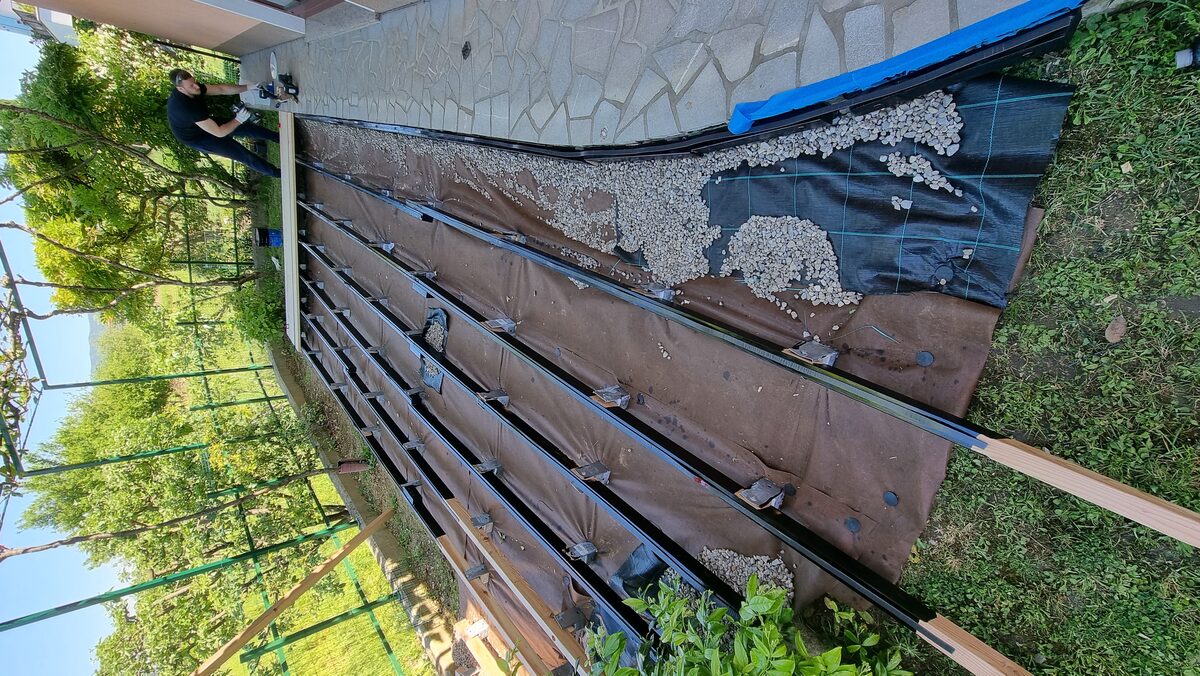 Zavita terasa sibirski macesen