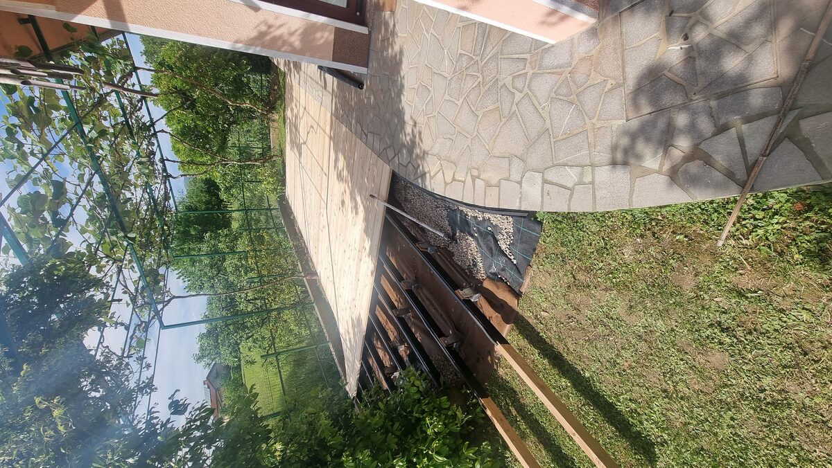 Zavita terasa sibirski macesen