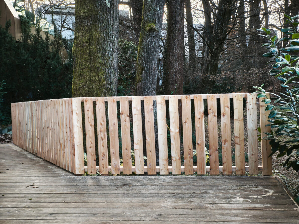 Alpski macesen Ljubljana